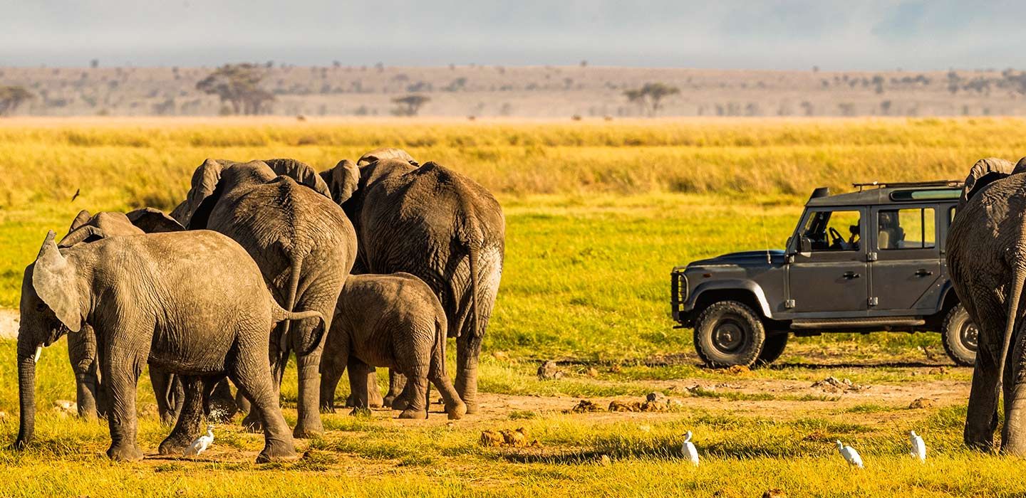 Long Kenya Tours