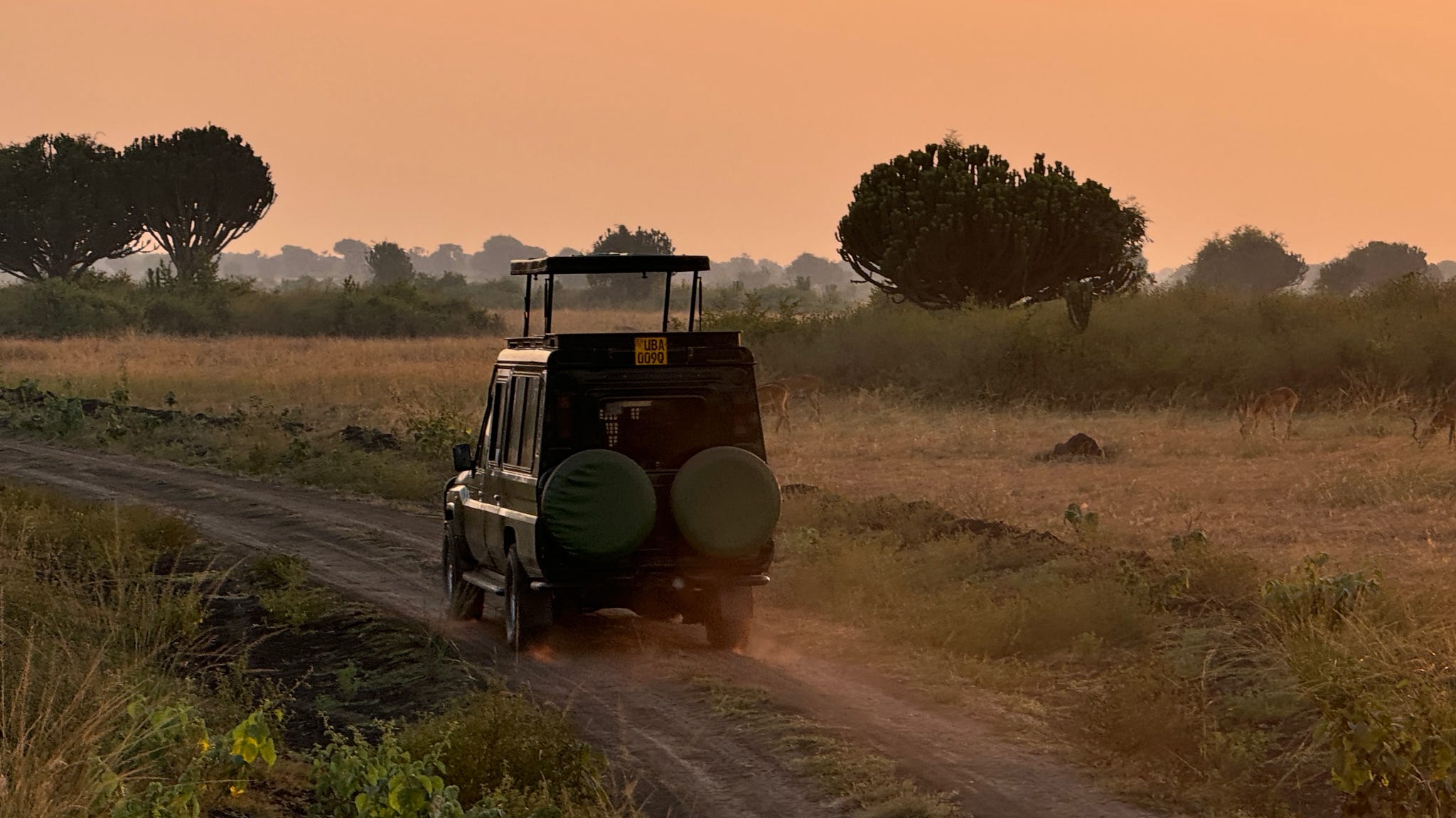 Best Vehicle for Safari in Africa
