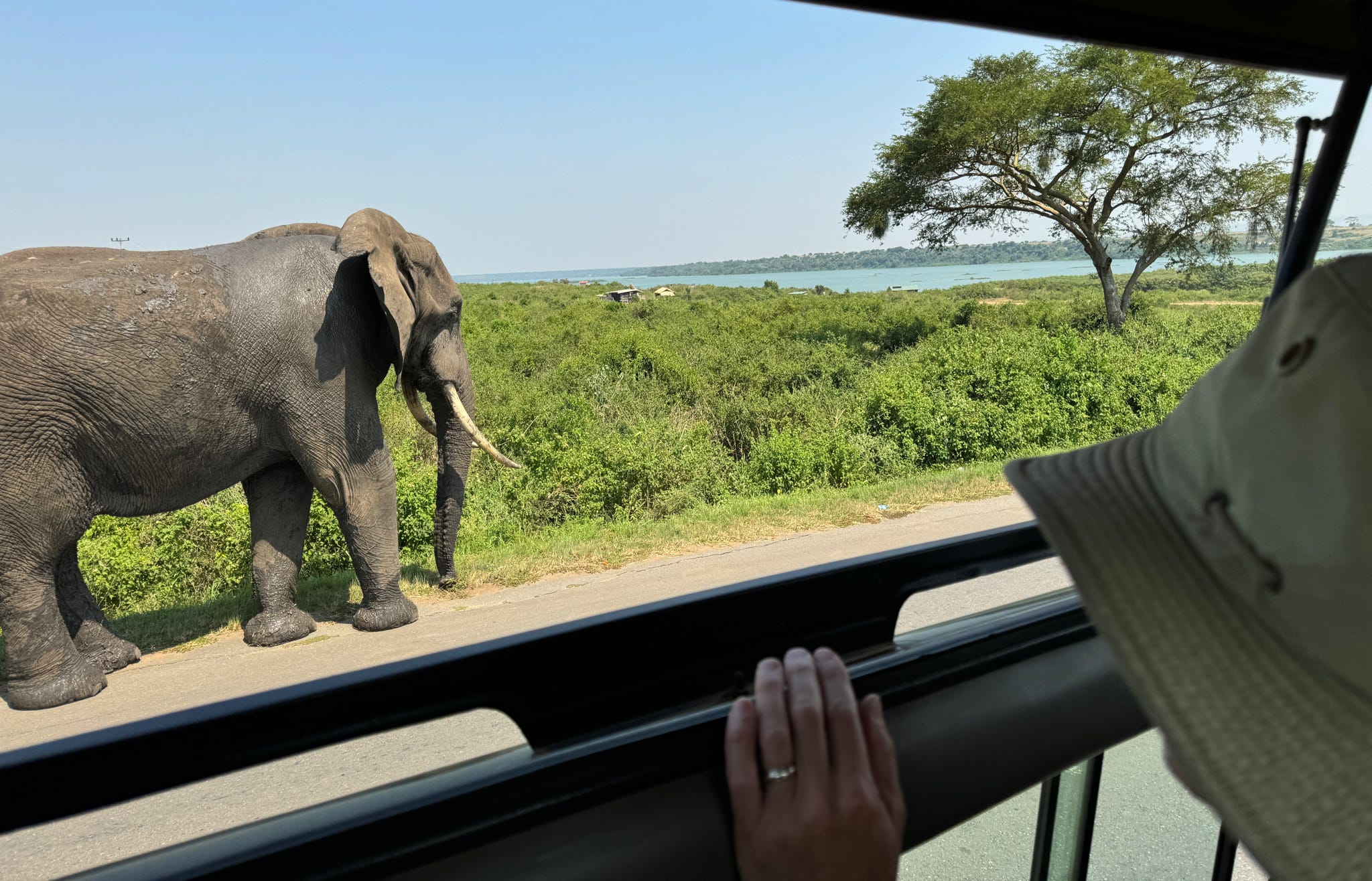 Uganda Your Next Travel Destination