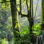Visiting Uganda Throughout the Year