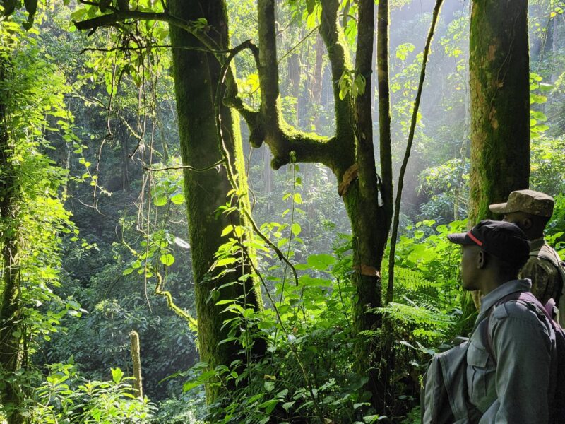 Visiting Uganda Throughout the Year