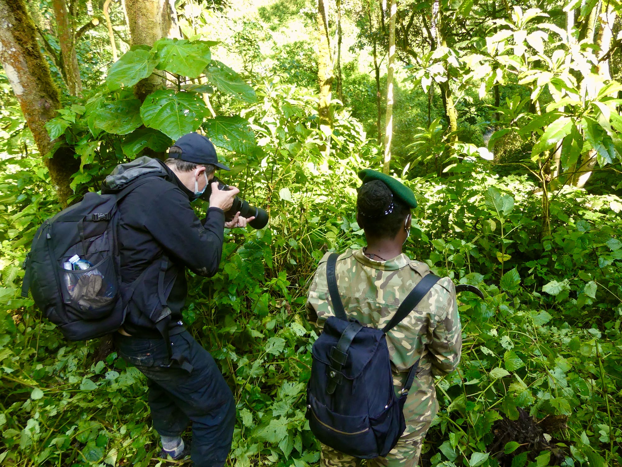 A tourist spotted taking photos of a gorilla