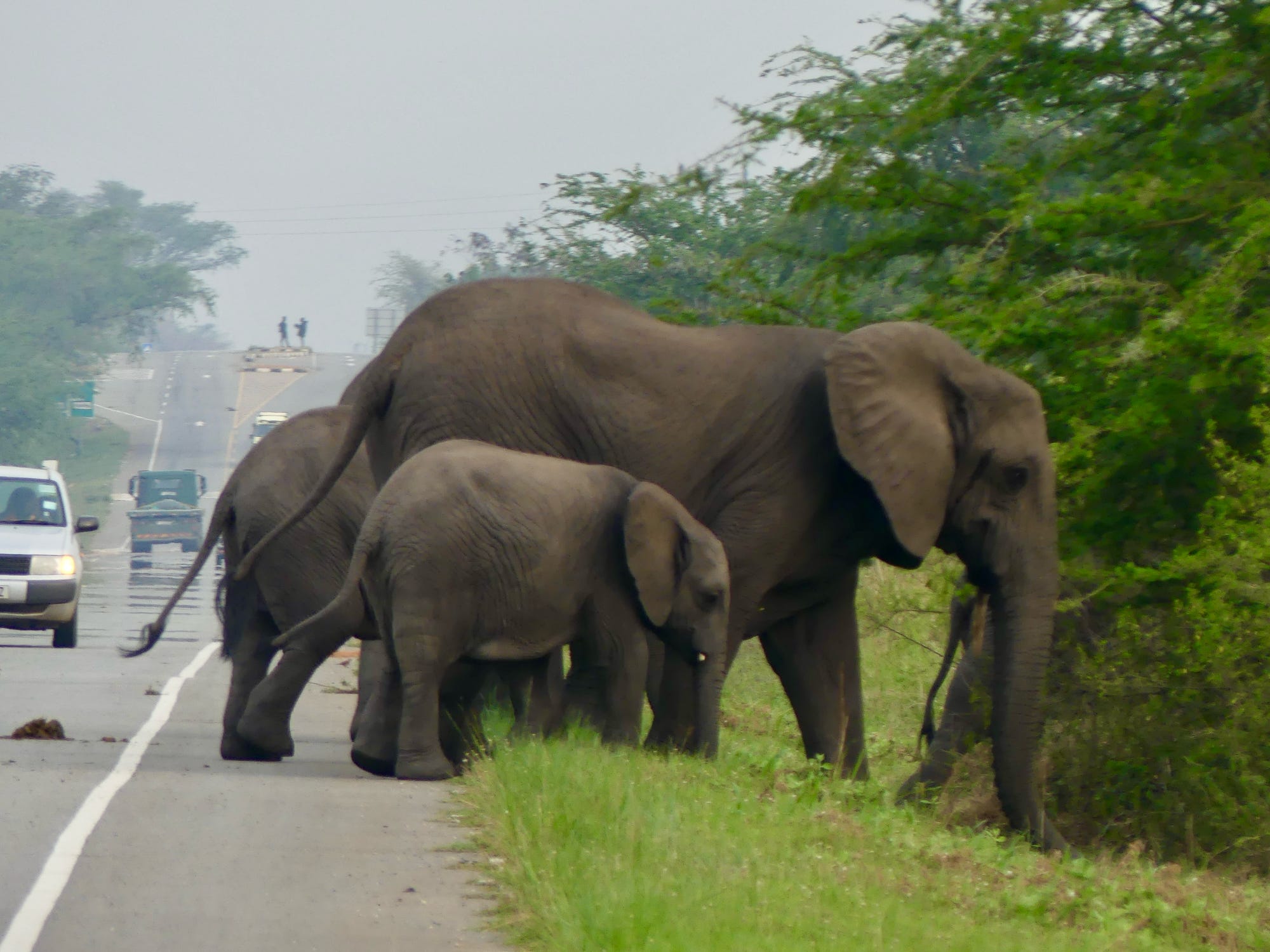 Travel Tips If Considering Uganda Africa as Your Next Destination 