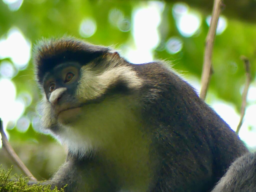 Uganda Your Next Travel Destination