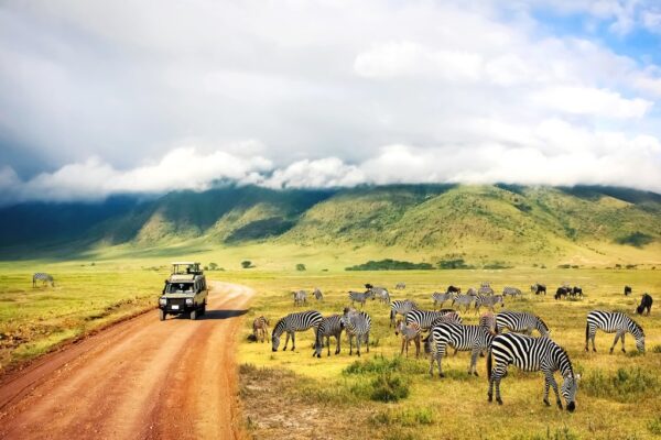 7-Day Kenya Wildlife Safari