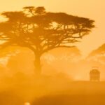 Africa Tour Packages