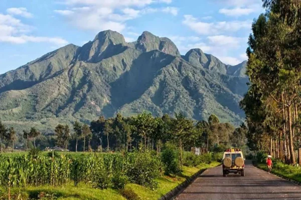 Rwanda Wildlife Safaris