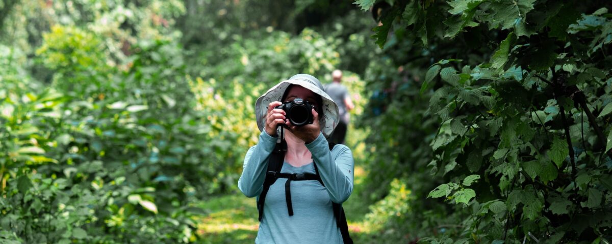Bwindi-Impenetrable-National-Park-Gorilla-Trekking-Bwindi