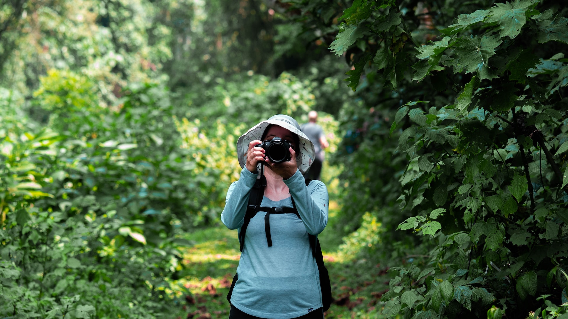 Bwindi-Impenetrable-National-Park-Gorilla-Trekking-Bwindi