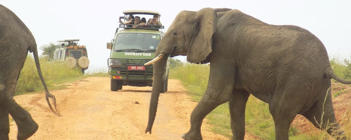 15-Day Uganda Game Drives Safari