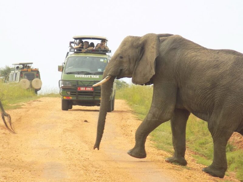 15-Day Uganda Game Drives Safari