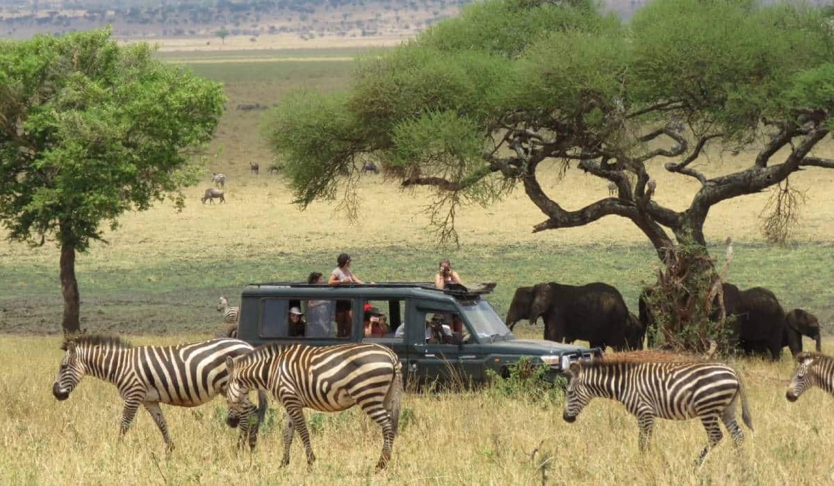Tanzania Wildlife Wonders Experience Tour