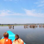 Safari Experience in Queen Elizabeth National Park