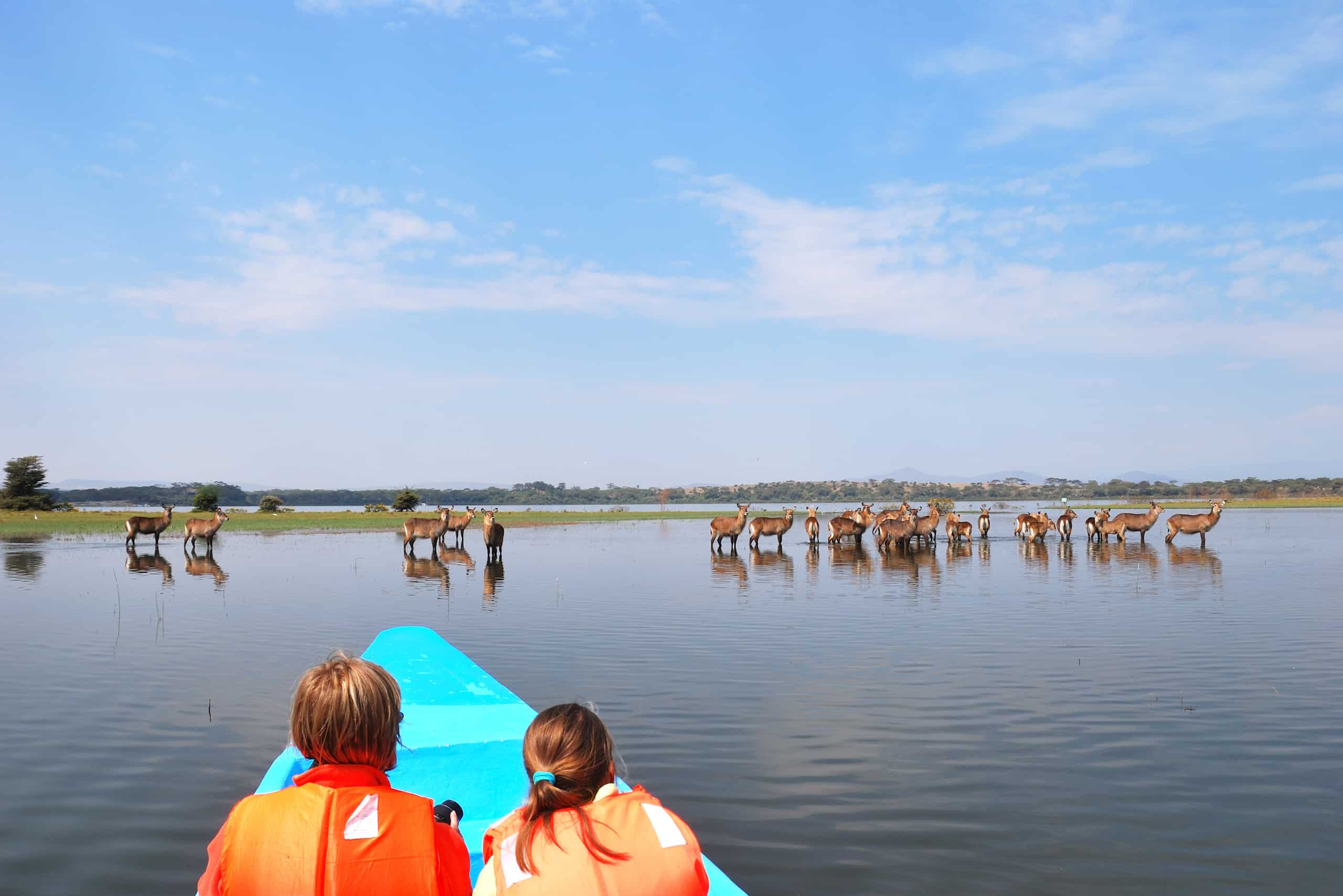 Lake Naivasha National Park