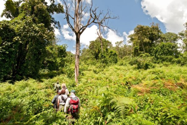 Mahale Mountains National Park
