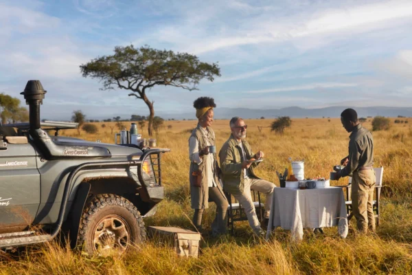 Tanzania Safaris