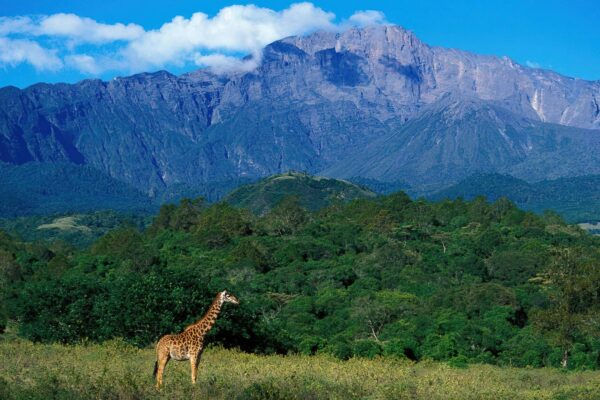 Mt Meru National Park