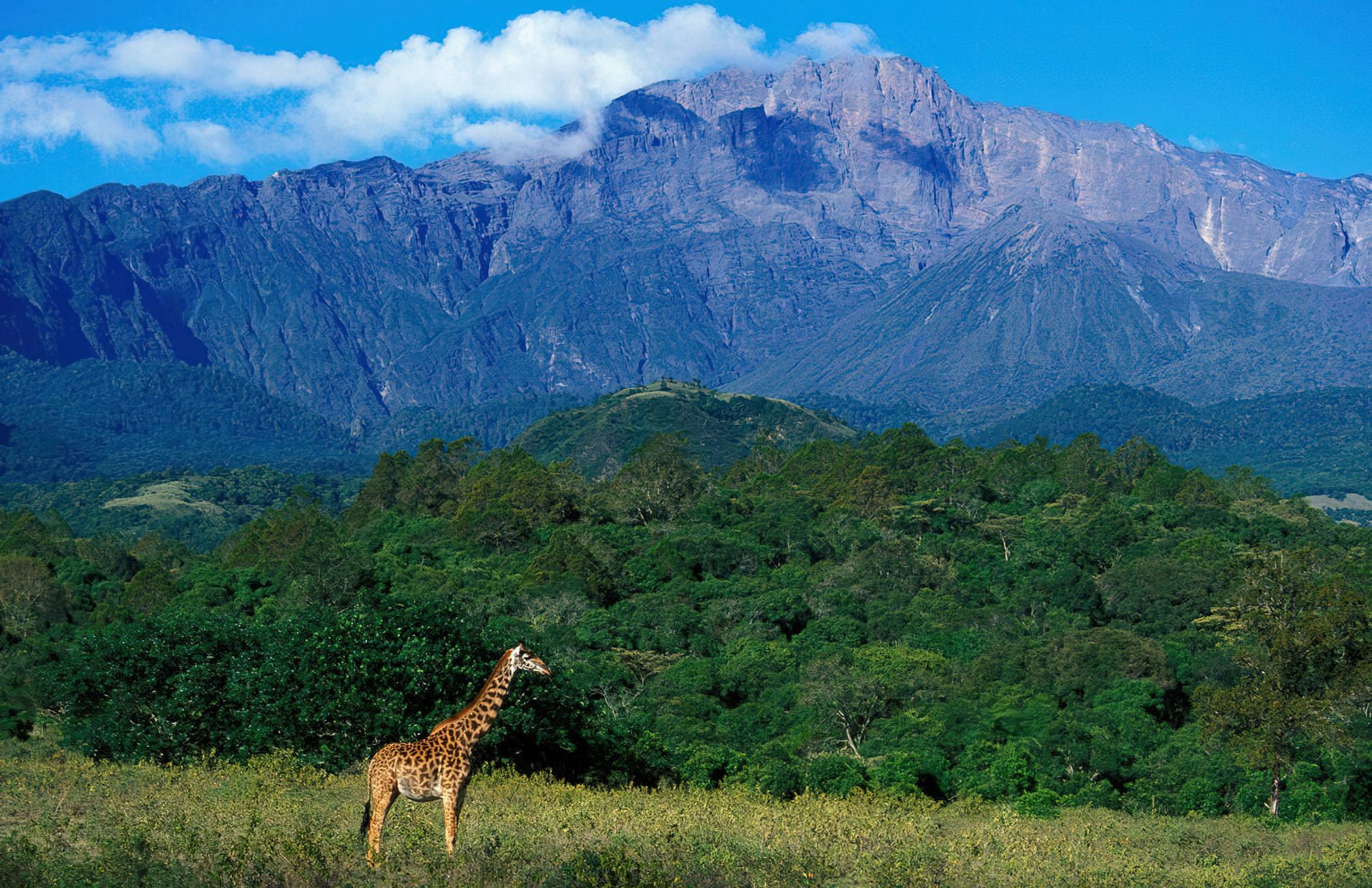 Mt Meru National Park