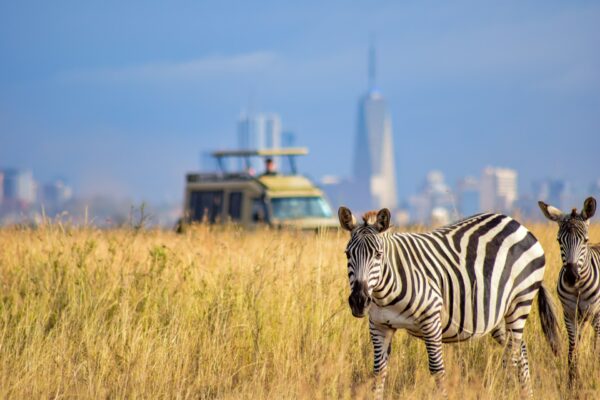 Nairobi National Park  