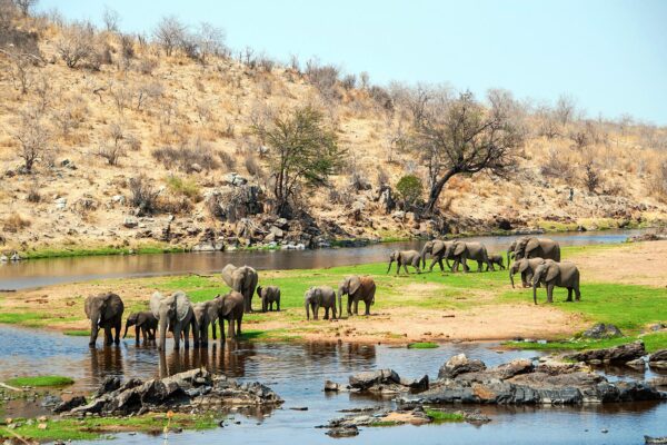 Ruaha National Park 
