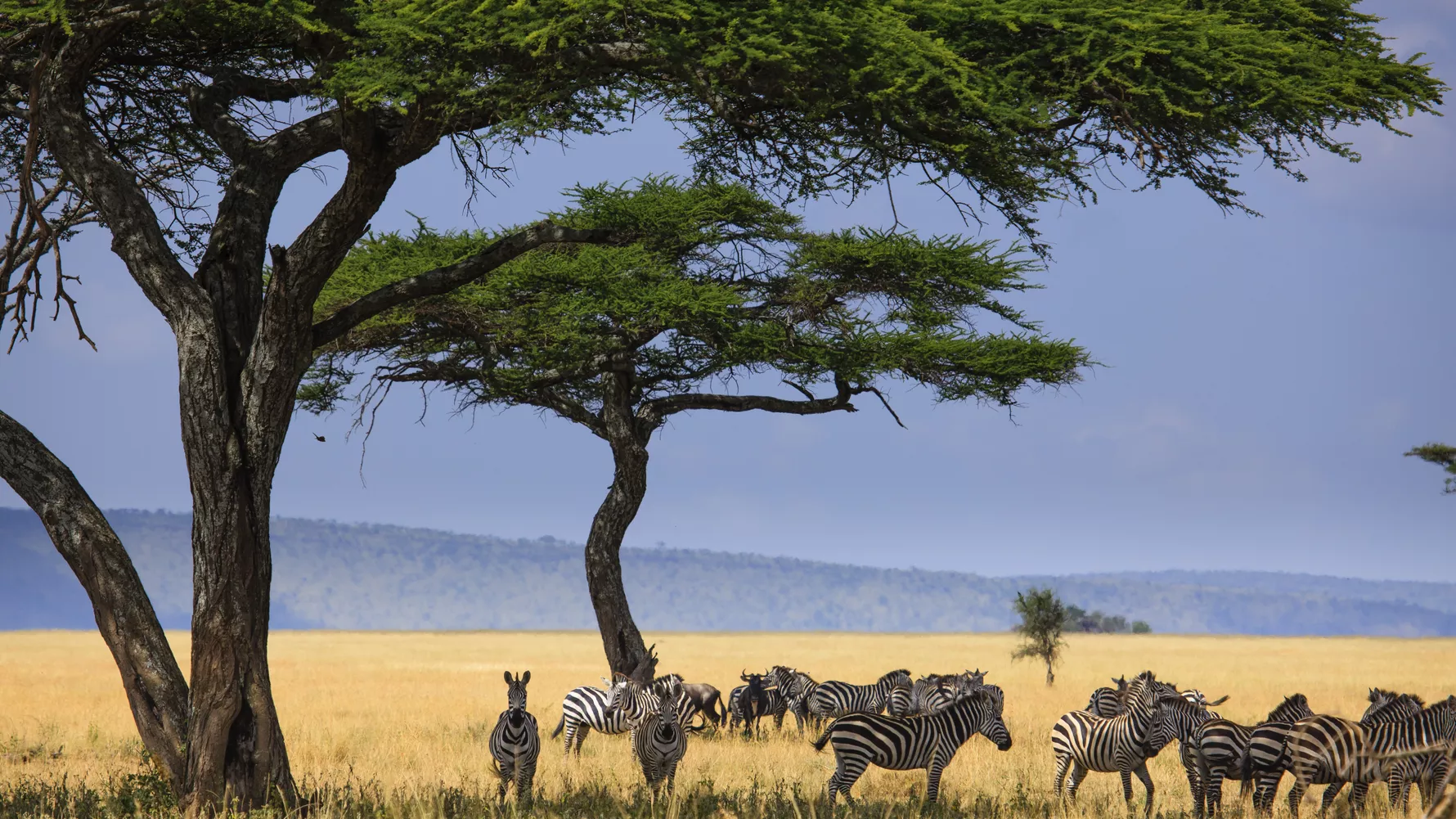 Serengeti National Park