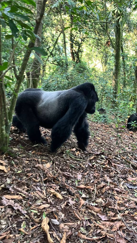 The Mighty Leader and Symbol of Strength