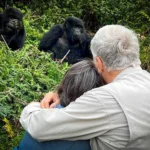 Senior Gorilla Trekking