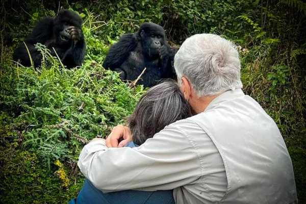 Senior Gorilla Trekking