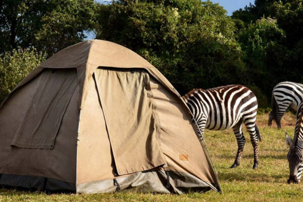 7-Day Kenya Wildlife Budget Safari
