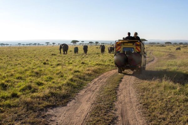 8-Day Magical Kenya Game Drive Safari