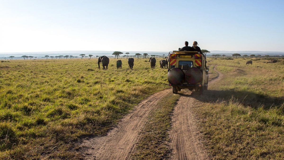 8-Day Magical Kenya Game Drive Safari