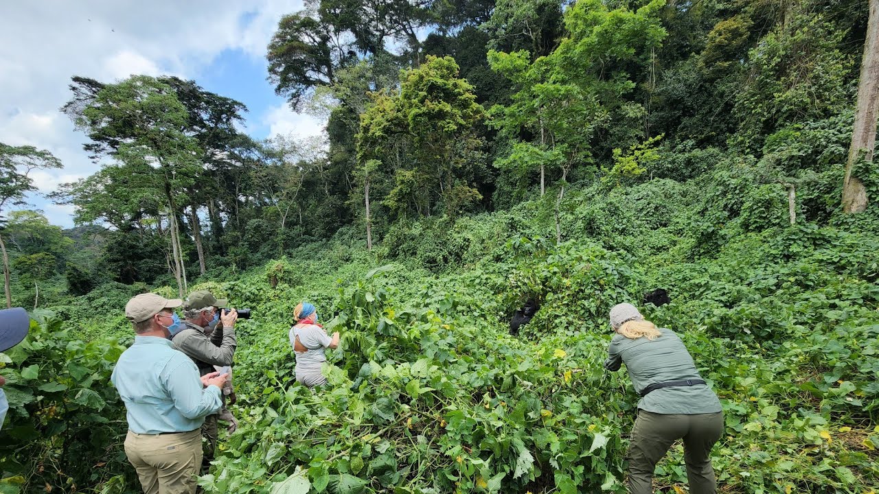 Long Rwanda Tours