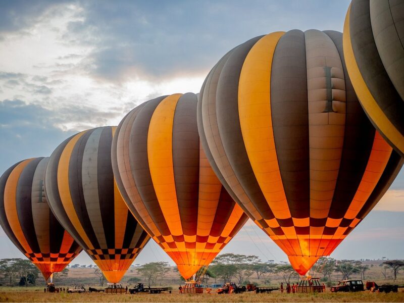 Luxury vs Budget Safaris