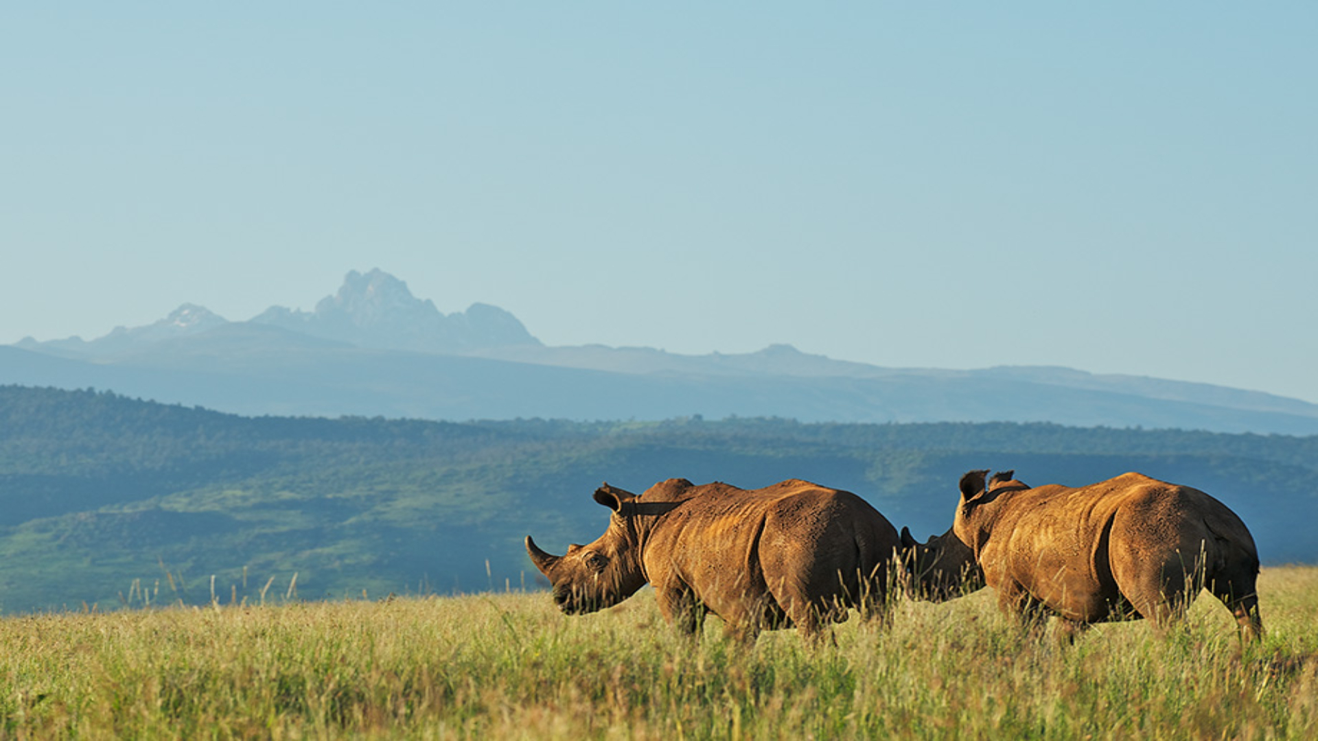 Mt Kenya National Park