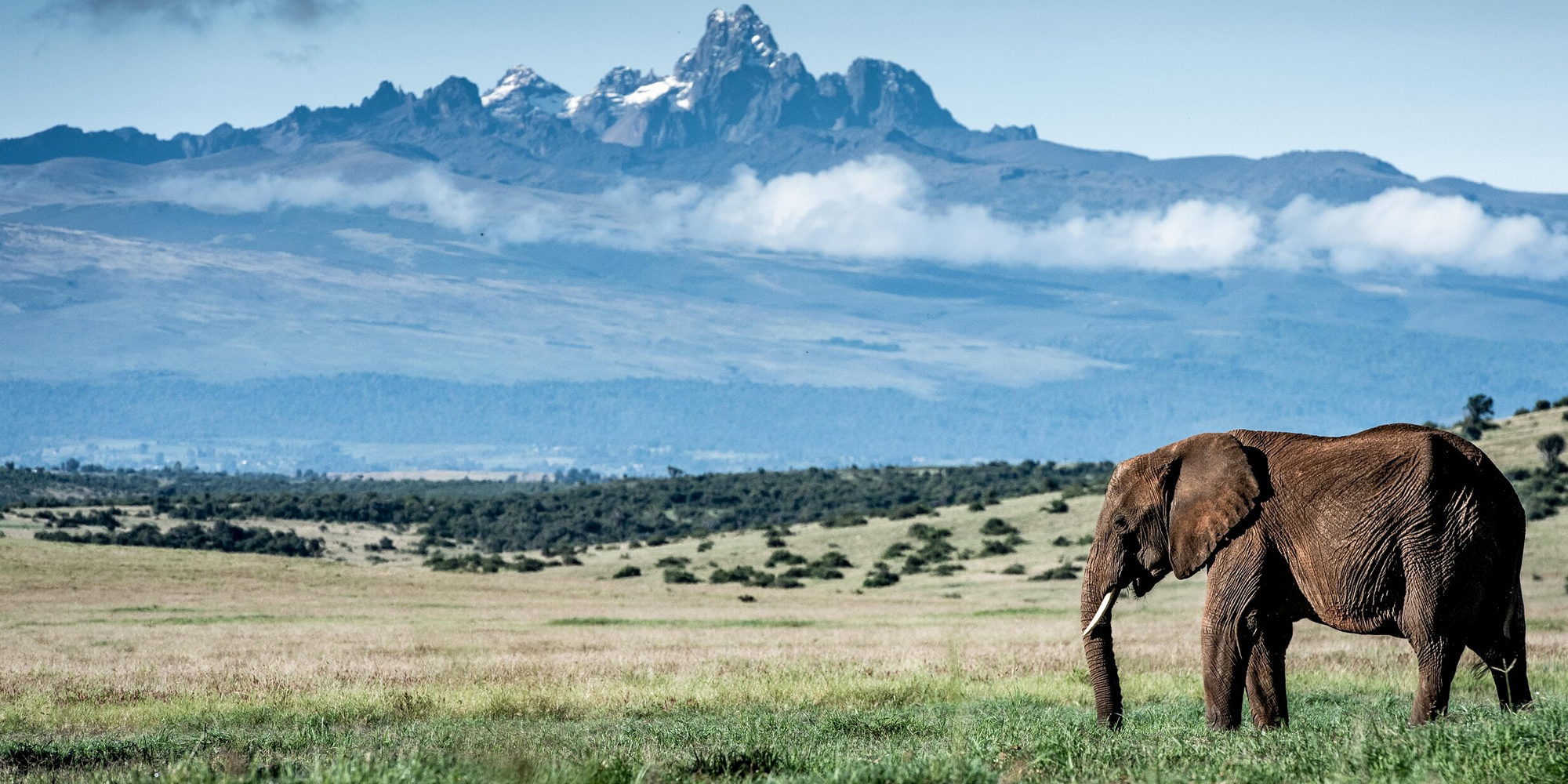 Mt Kenya National Park