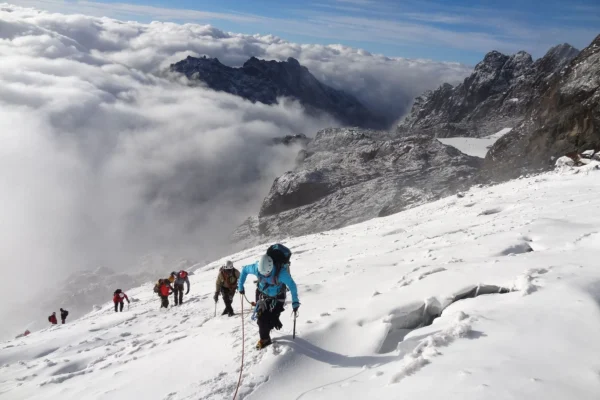 Mt Rwenzori National Park
