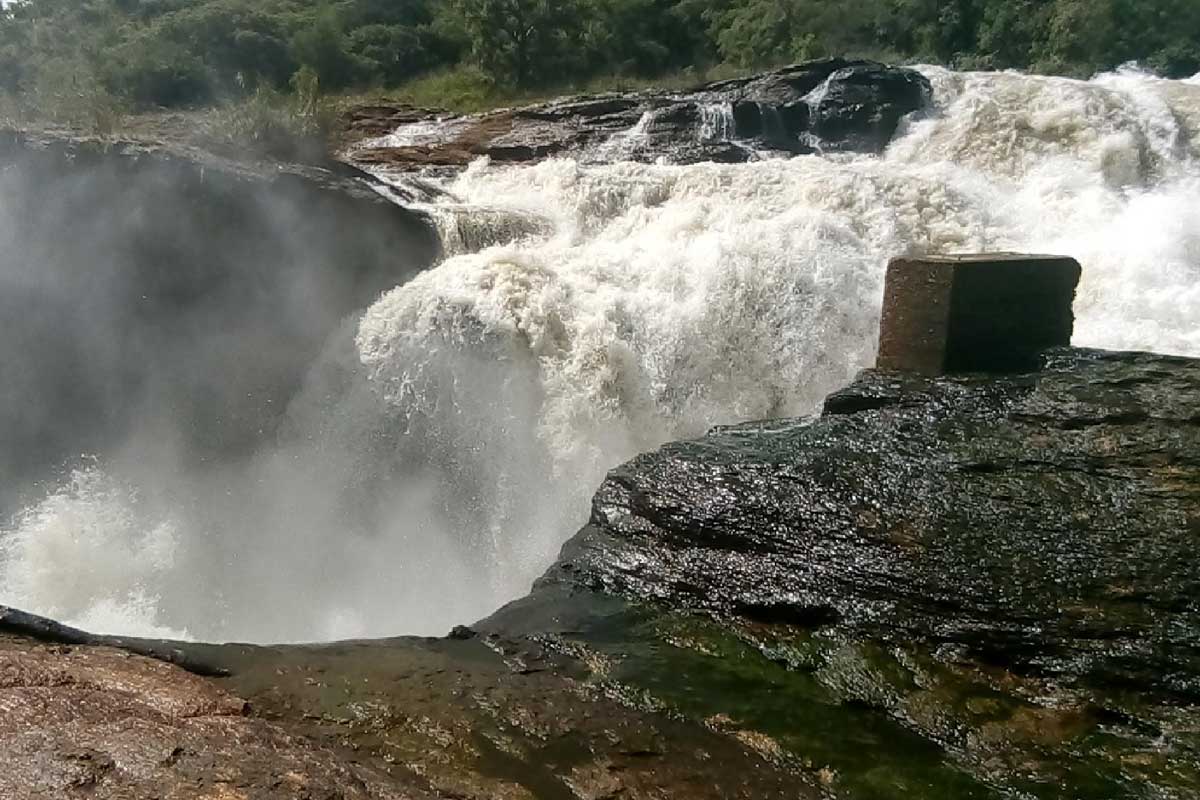 Uganda safaris