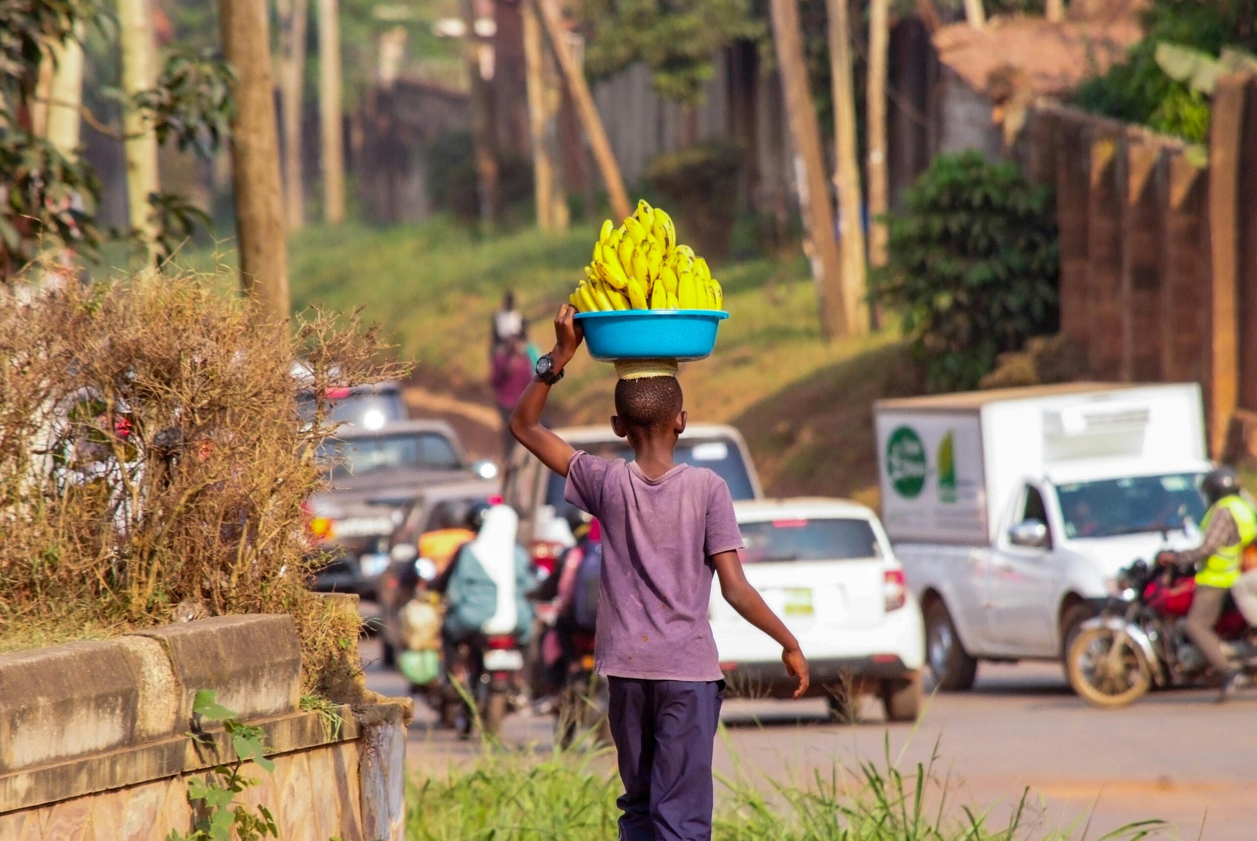 Uganda The Fruit Basket of Africa