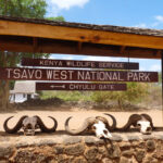 Tsavo East National Park