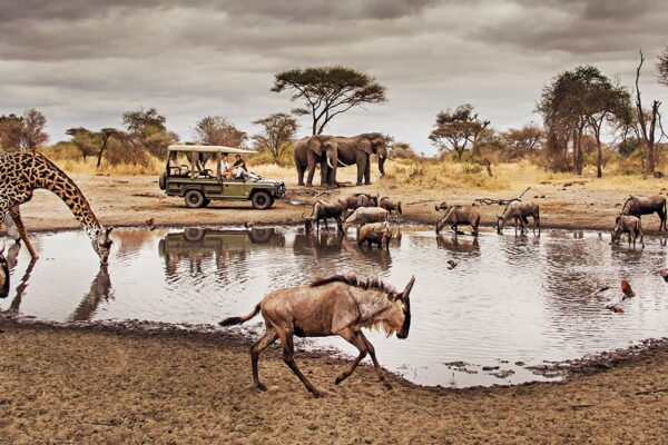 9-Day Ultimate Tanzania Wildlife Safari