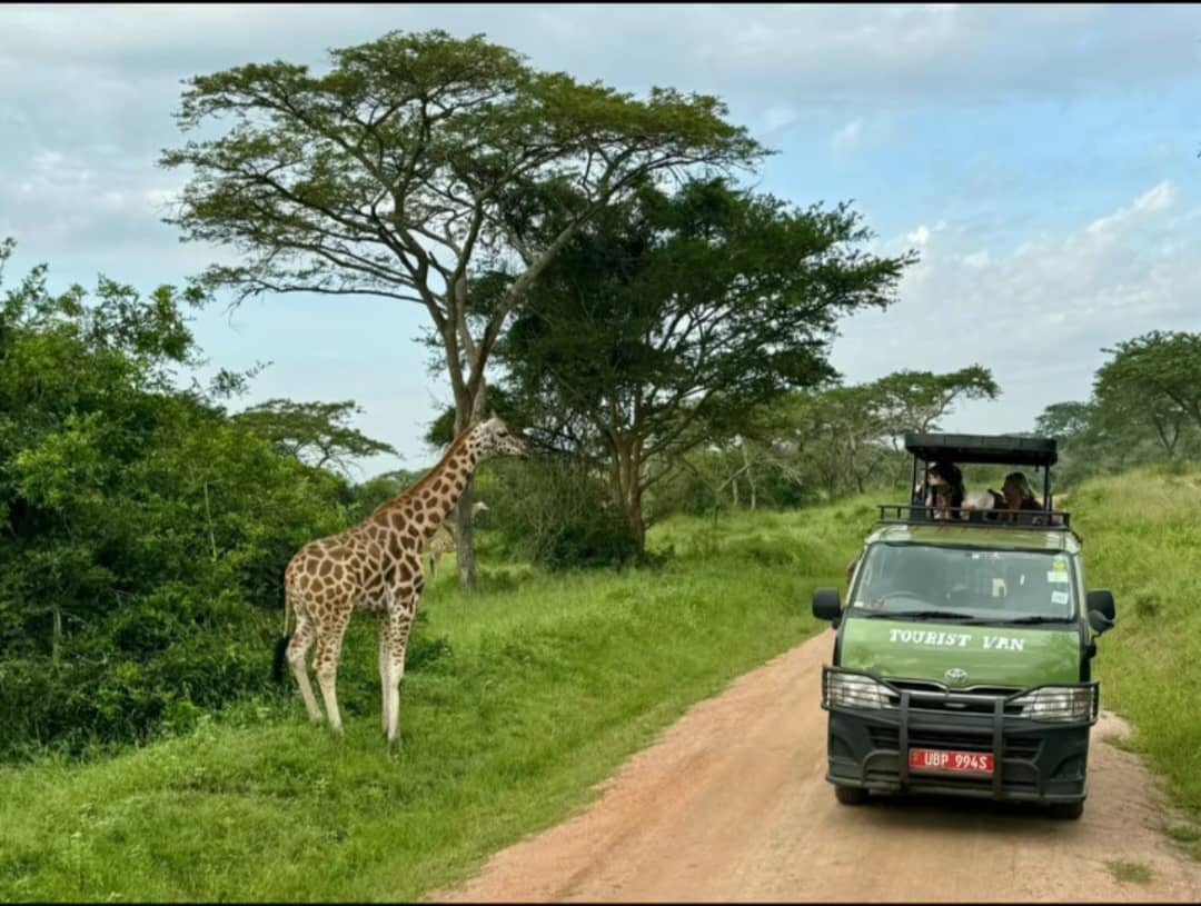 visitors enjoying the Ride