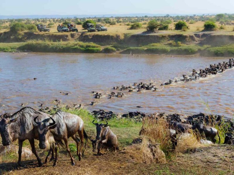 Sustainable Safaris in East Africa