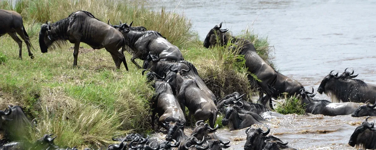 Serengeti National Park-in Tanzania