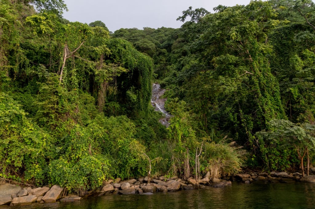 Visiting Uganda Throughout the Year