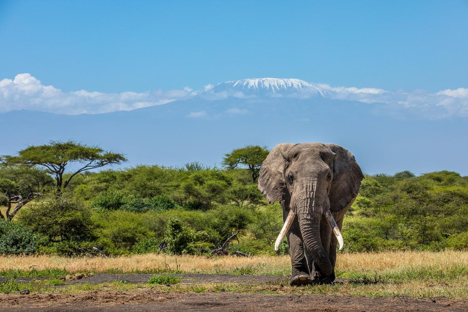 Kenya National Parks