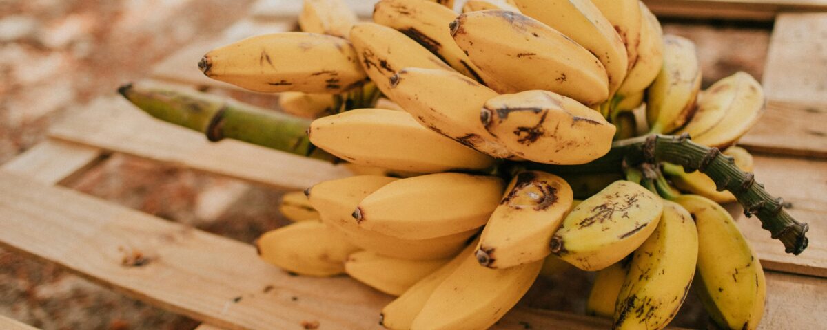Uganda The Fruit Basket of Africa