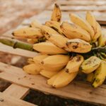 Uganda The Fruit Basket of Africa
