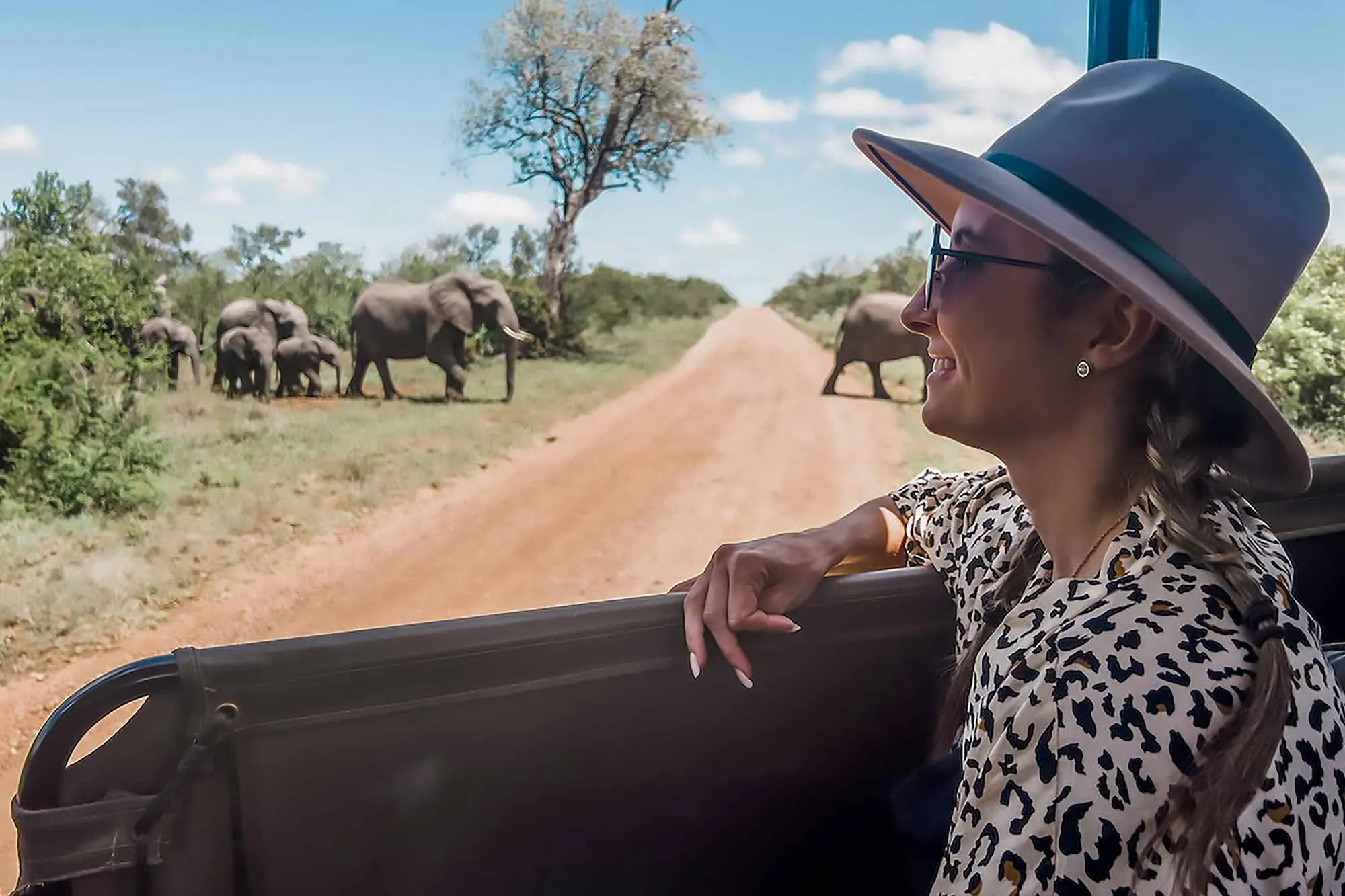 Wildlife Safaris