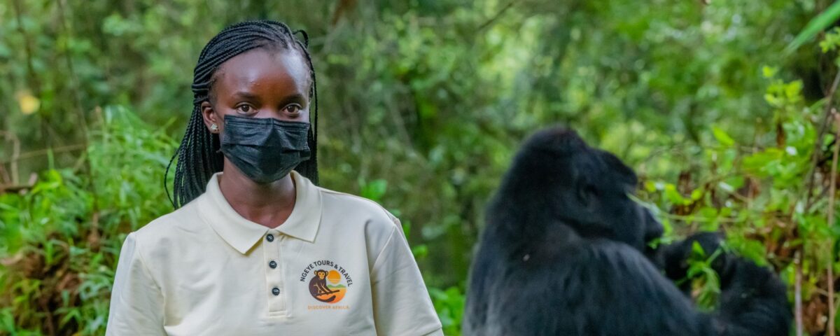 Is Uganda Still the Best Place for Gorilla Trekking in 2026?