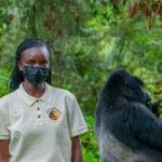 Is Uganda Still the Best Place for Gorilla Trekking in 2026?